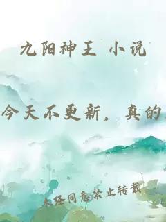 九阳神王 小说