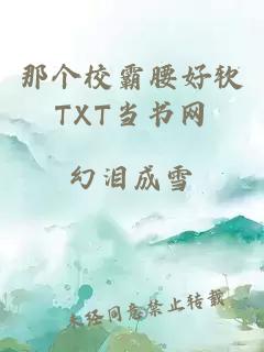 那个校霸腰好软TXT当书网