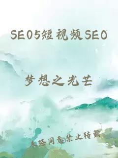 SE05短视频SEO