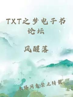 TXT之梦电子书论坛