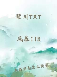 紫川TXT