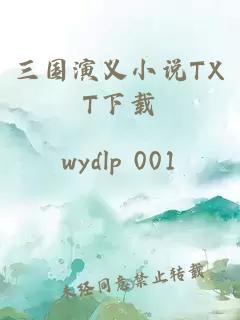 三国演义小说TXT下载