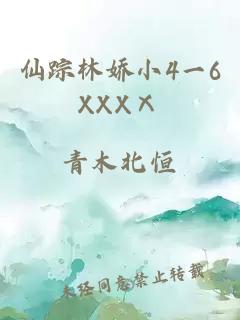 仙踪林娇小4一6XXXⅩ