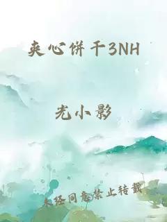 夹心饼干3NH