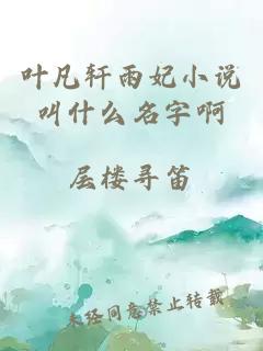 叶凡轩雨妃小说叫什么名字啊