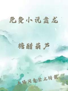 免费小说盘龙