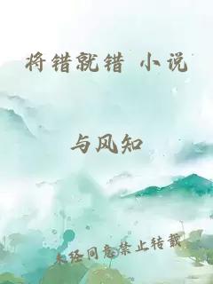 将错就错 小说