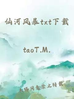 仙河风暴txt下载