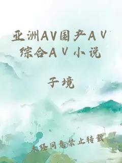 亚洲AV国产AⅤ综合AⅤ小说