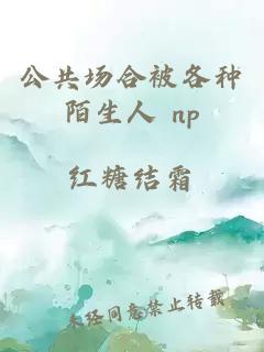 公共场合被各种陌生人 np