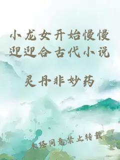 小龙女开始慢慢迎迎合古代小说