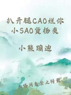 扒开腿CAO烂你小SAO货杨爽