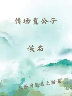 情场贵公子