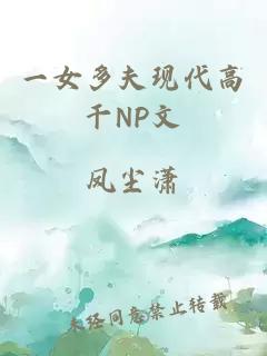 一女多夫现代高干NP文