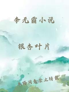 李元霸小说