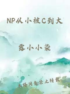 NP从小被C到大