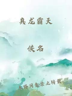 真龙霸天