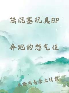 陆沉塞玩具BP