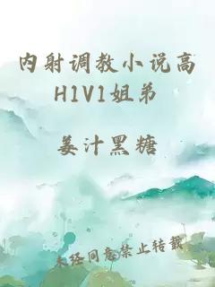 内射调教小说高H1V1姐弟