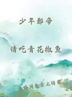 少年邪帝