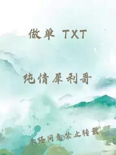 做单 TXT