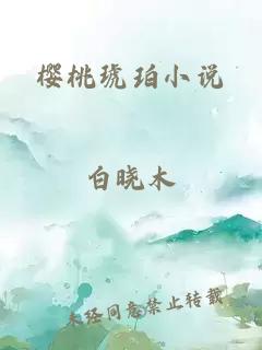 樱桃琥珀小说