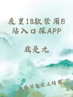 夜里18款禁用B站入口探APP