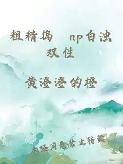 粗精捣泬np白浊双性