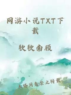 网游小说TXT下载