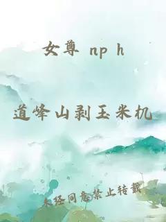 女尊 np h