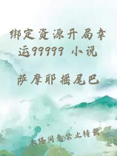 绑定资源开局幸运99999 小说