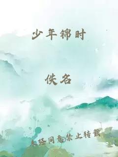 少年锦时