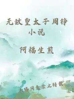 无敌皇太子周铮小说