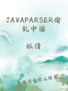 JAVAPARSER偷乱中国