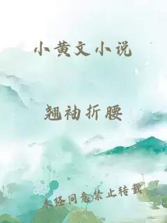 小黄文小说