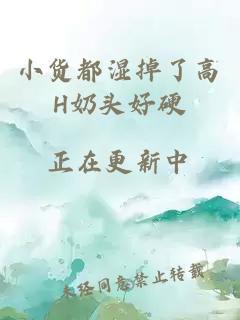 小货都湿掉了高H奶头好硬