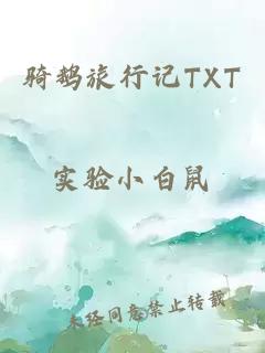 骑鹅旅行记TXT