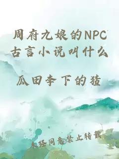 周府九娘的NPC古言小说叫什么