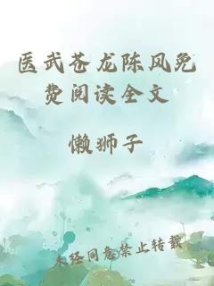 医武苍龙陈风免费阅读全文