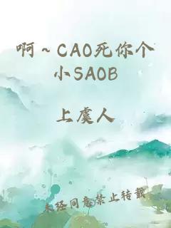 啊～CAO死你个小SAOB