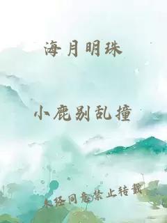 海月明珠