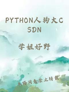 PYTHON人狗大CSDN