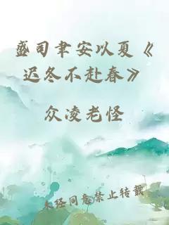 盛司聿安以夏《迟冬不赴春》