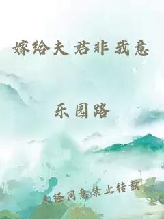 嫁给夫君非我意