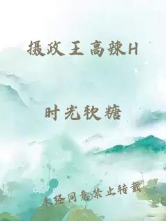 摄政王高辣H