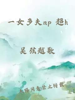 一女多夫np 超h