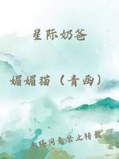 星际奶爸