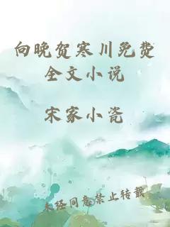 向晚贺寒川免费全文小说