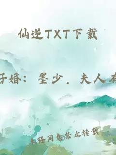 仙逆TXT下载