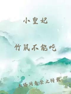 小皇妃